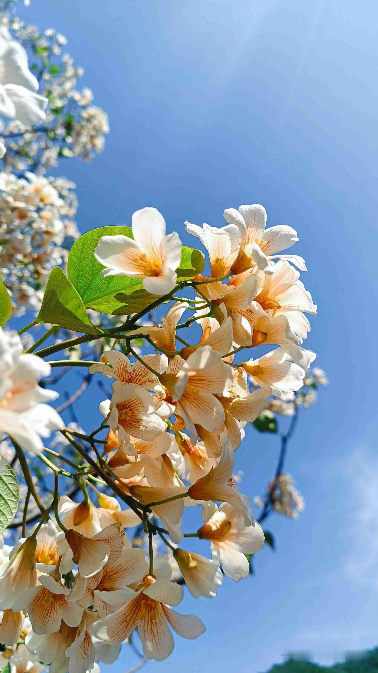 我的今日状态：😁轻松愉快
我这里的天气：☀️晴天
