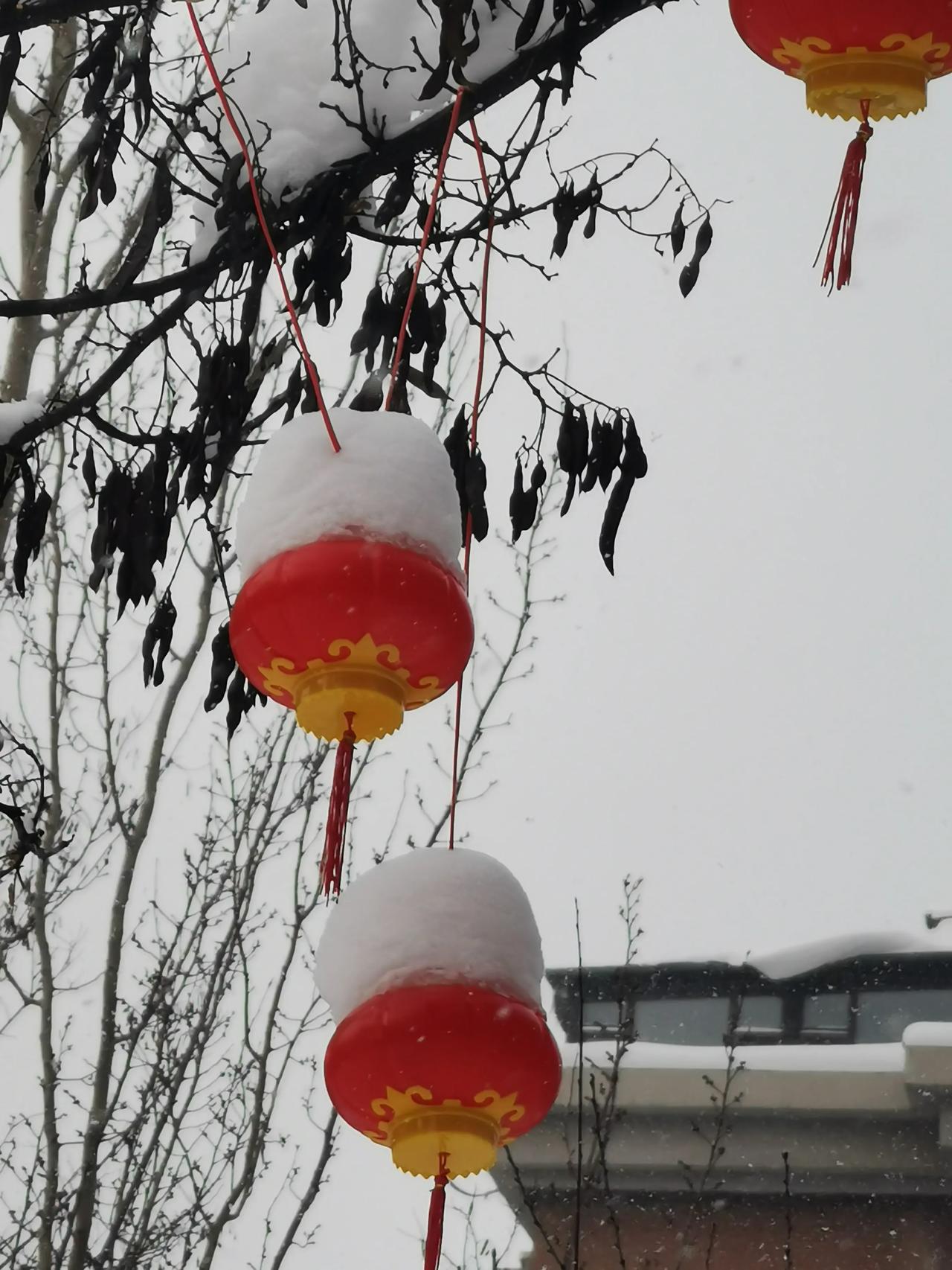 晒一晒用手机拍摄的照片看看沈阳入冬以来唯一的一场大雪的“成就”！