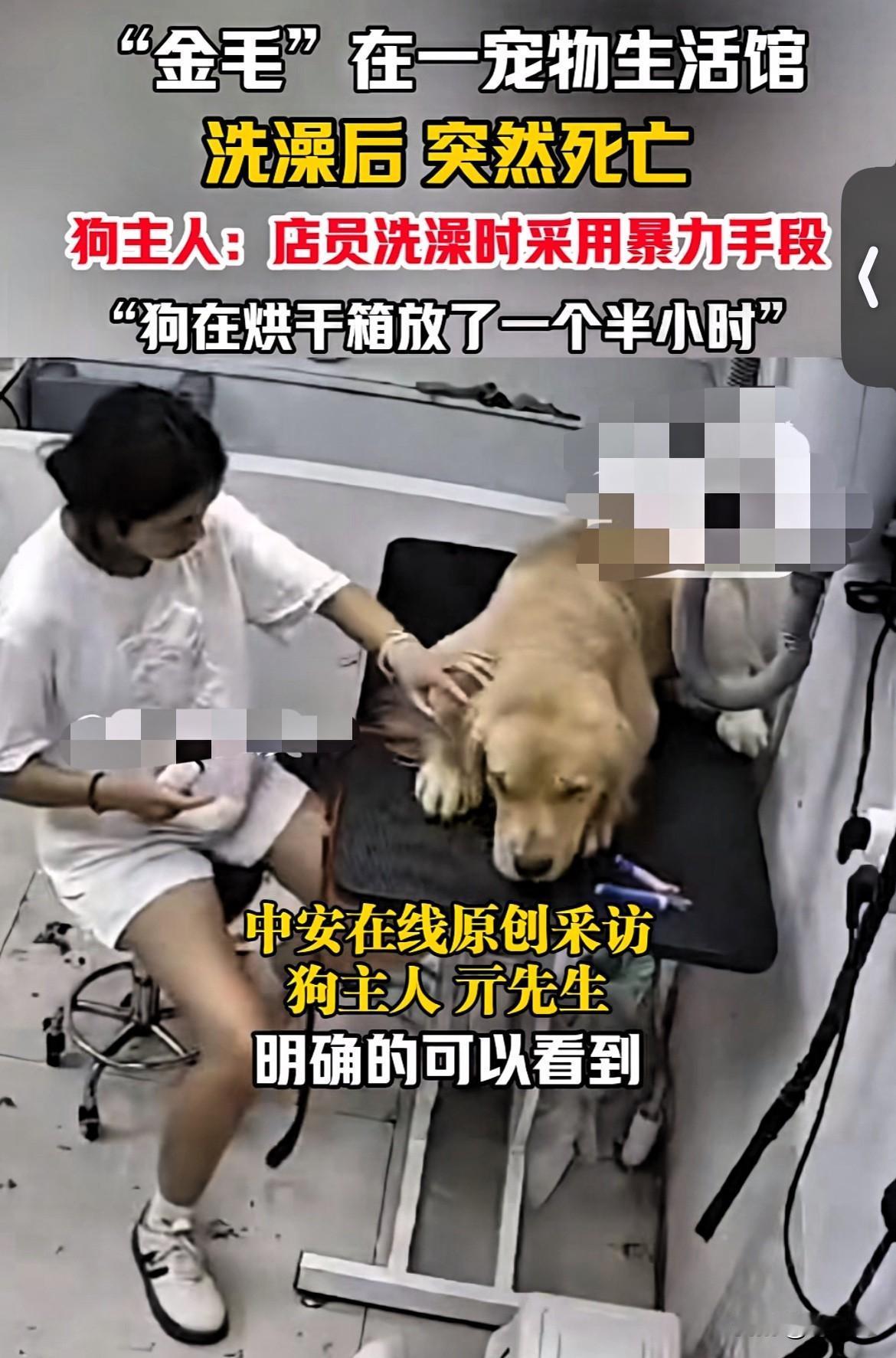 还有点良心吗！男子带着爱狗去店里洗澡，没想到狗回家后突然异常，出现大小便失禁抽搐