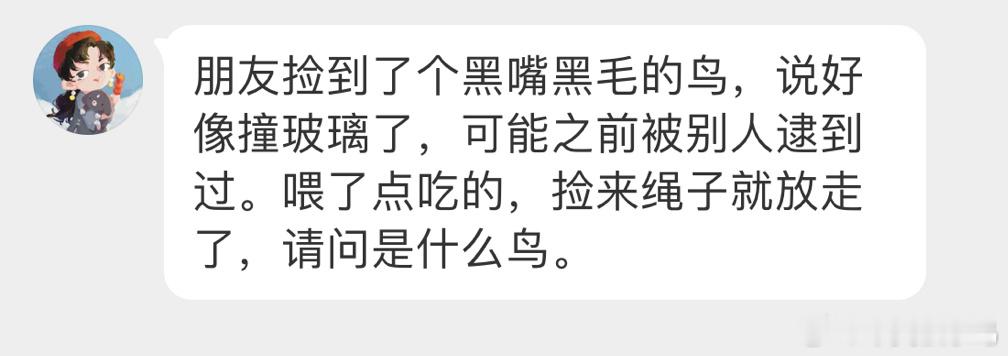 #鸟粉投稿# 把握良鸡环节是一只【紫啸鸫】被别人拴住了，然后又被好心人解救了野生