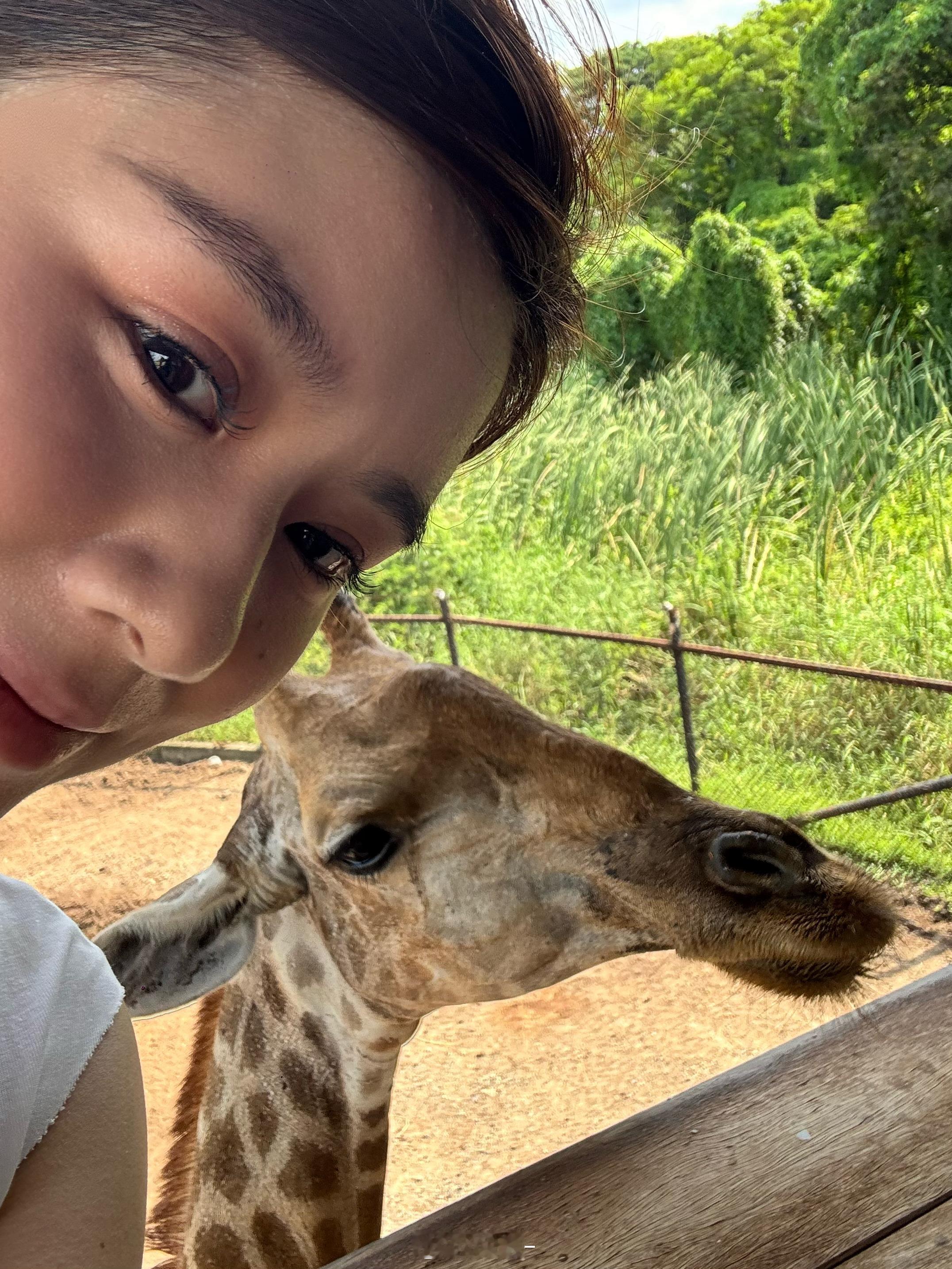 🦒 泰国·曼谷