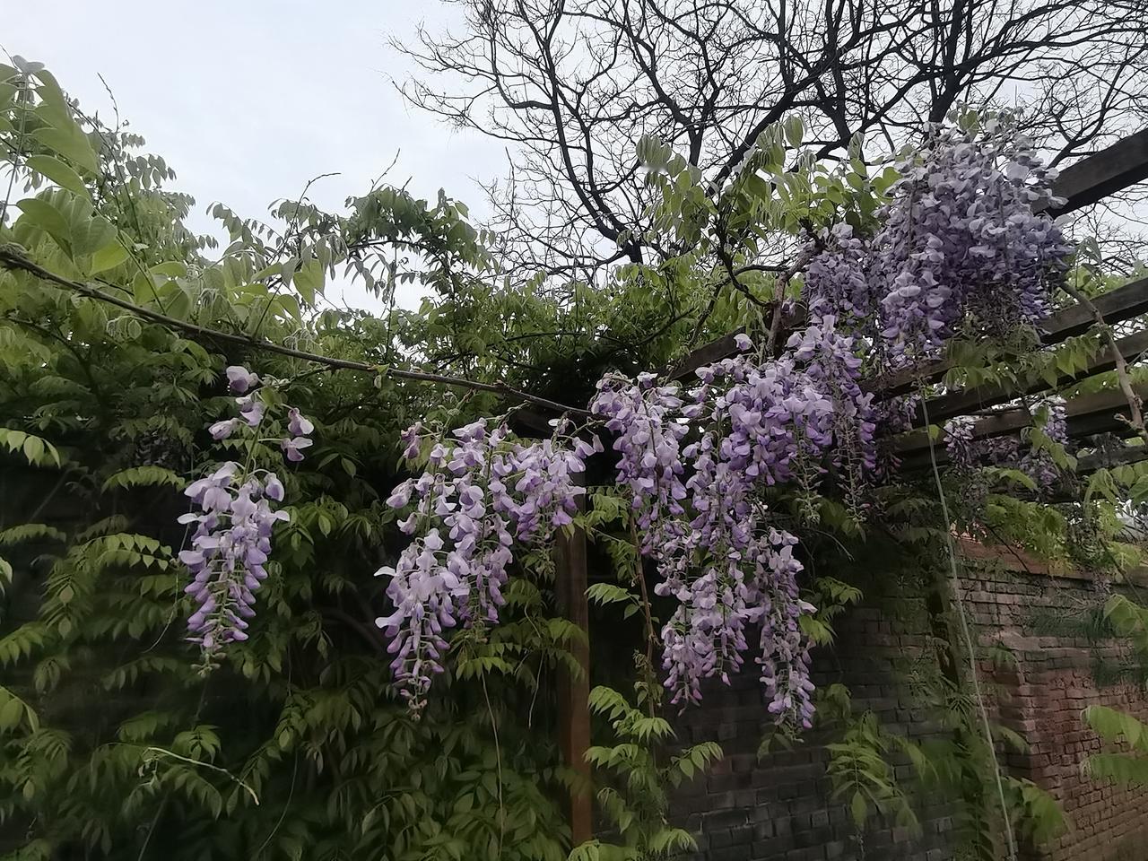 上联：笑看红尘花开花谢。求对下联静观江湖潮起潮落。“笑看”对“静观”（心态对比）