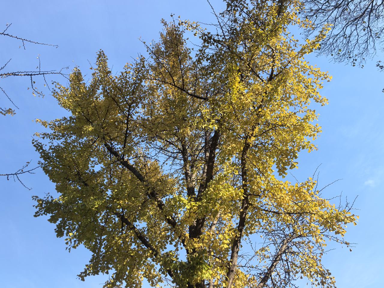 随手拍记录美好的点滴