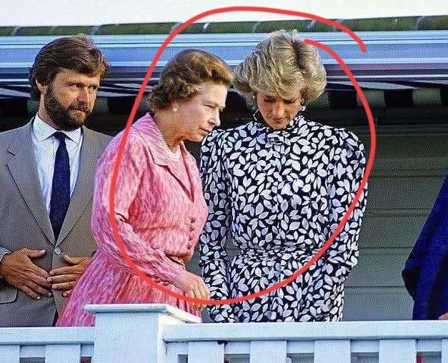 在女王面前，戴安娜也是“怵”的！
两个原因！
第一，身份！伊丽莎白既是女王，王室