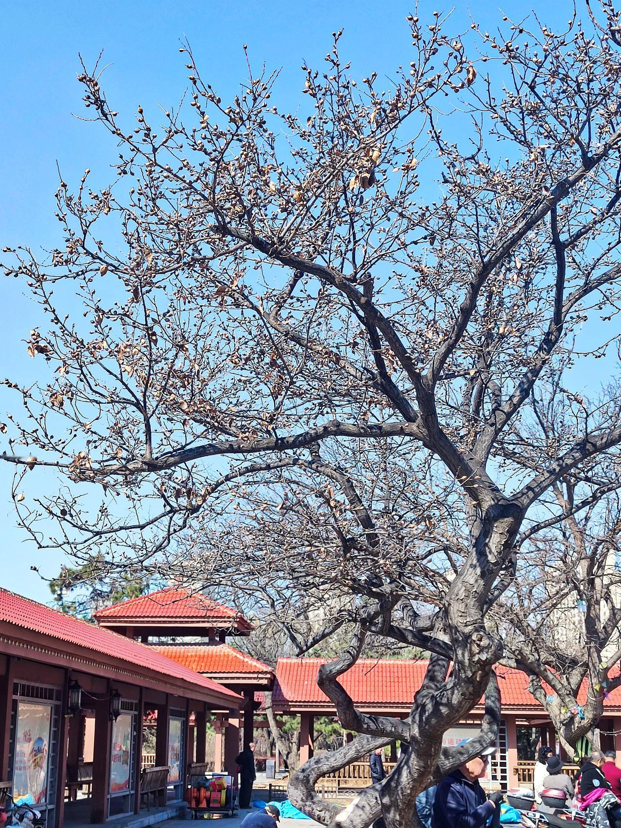 劳动公园《劳模园》景观
   位于沈阳铁西区的劳动公园，规模较大，景区较多。劳模