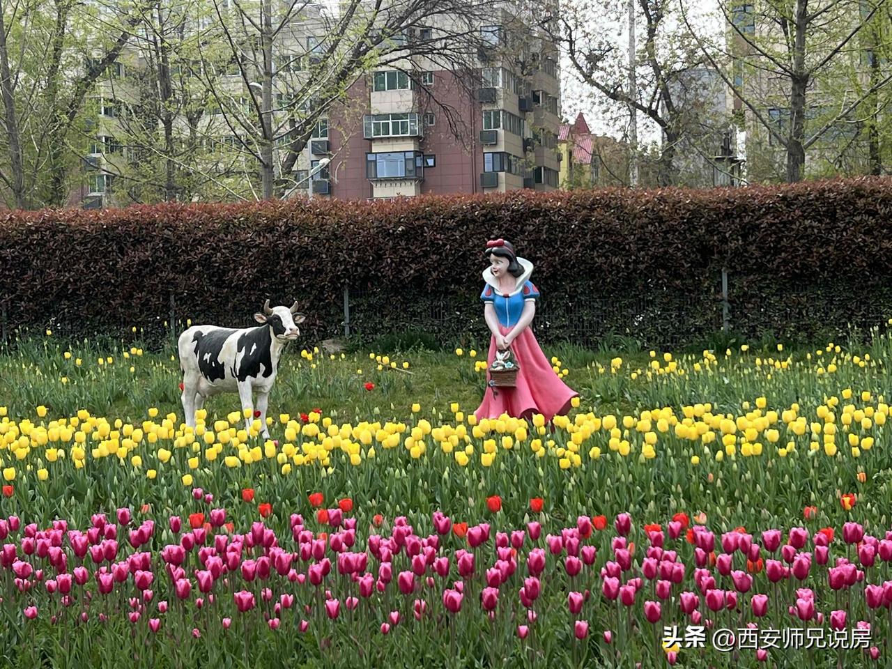 古人常说人生有四大喜事，其实，人生还有六大喜事你可能忽略了，一起来看看人生十喜：