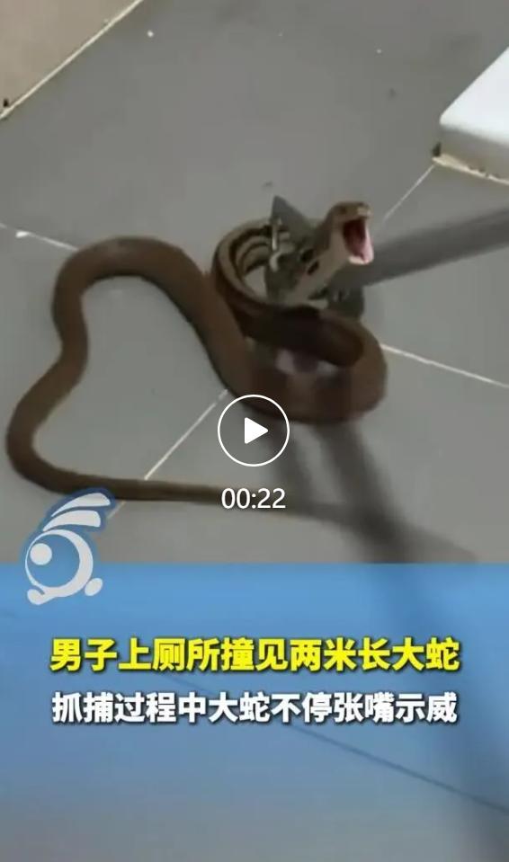 7 月 20 日当天，租下山脚老宅做木工工作室的黄先生打算去卫生间，推门时明显感