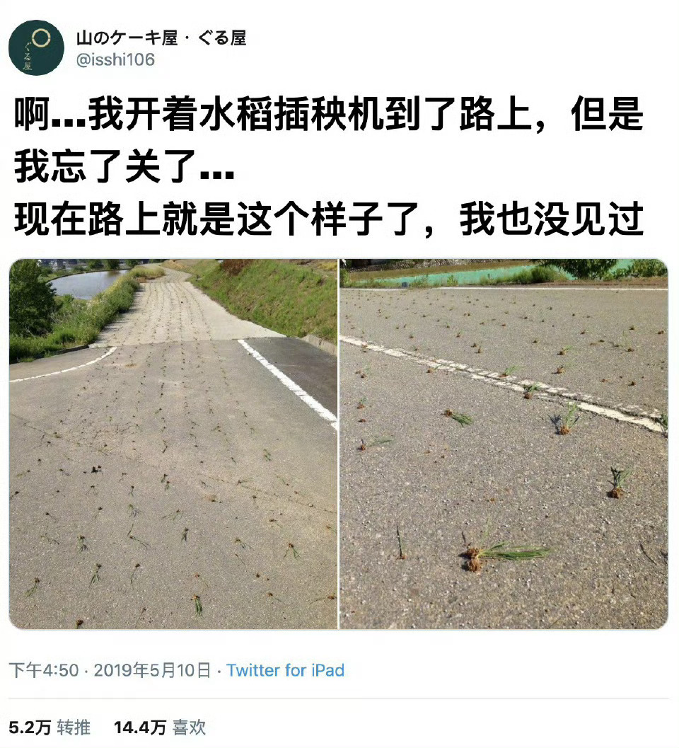 水稻：你..在逗我？ ​​​#搞笑# ​​​