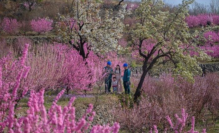 【开展防山火宣传 织密安全“防护网”】4月8日，@国网邹平市供电公司 临池供电所
