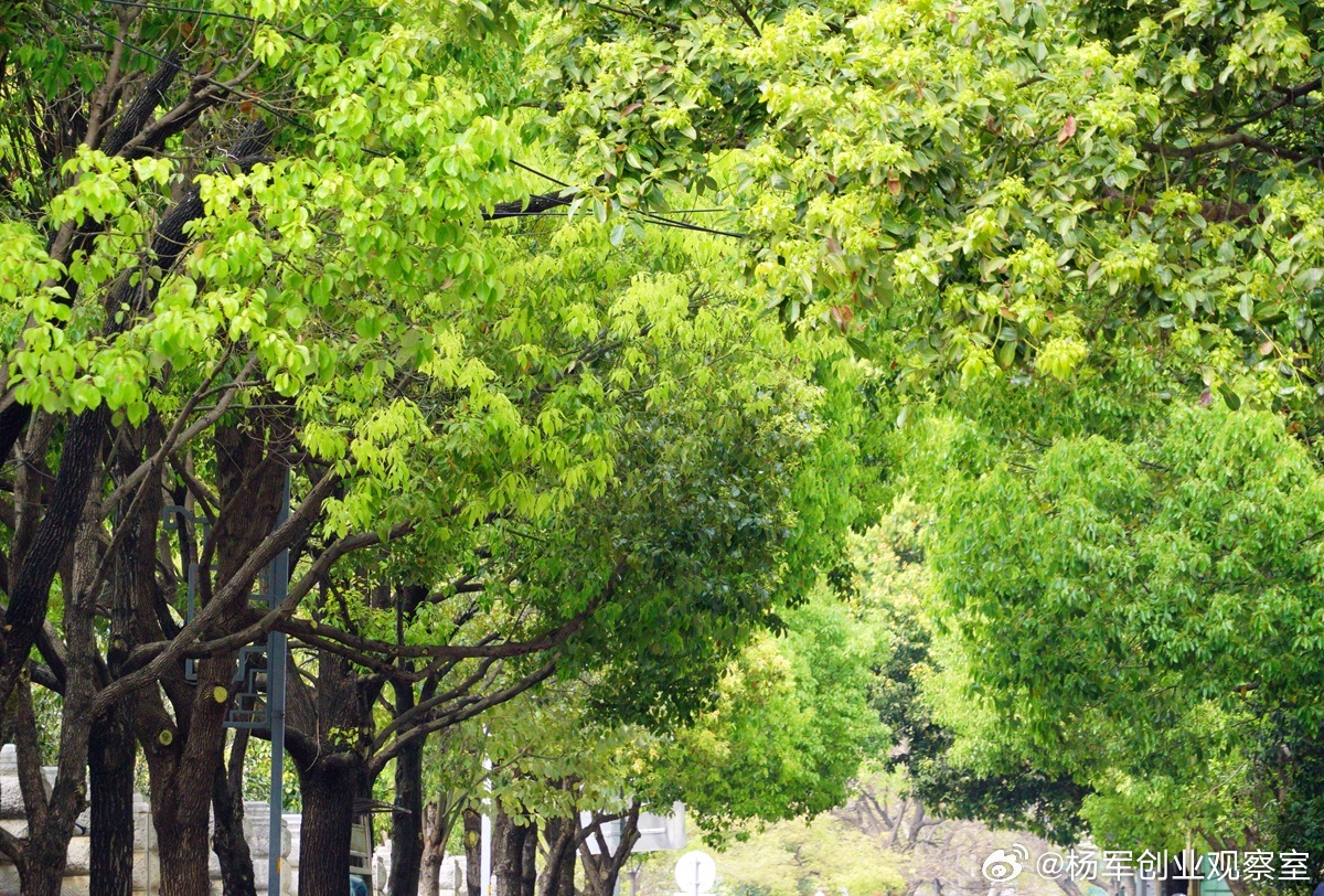 多数老板沟通效率低，不是不会说，而是没说“对”——说的内容、语气、方式，与场景、