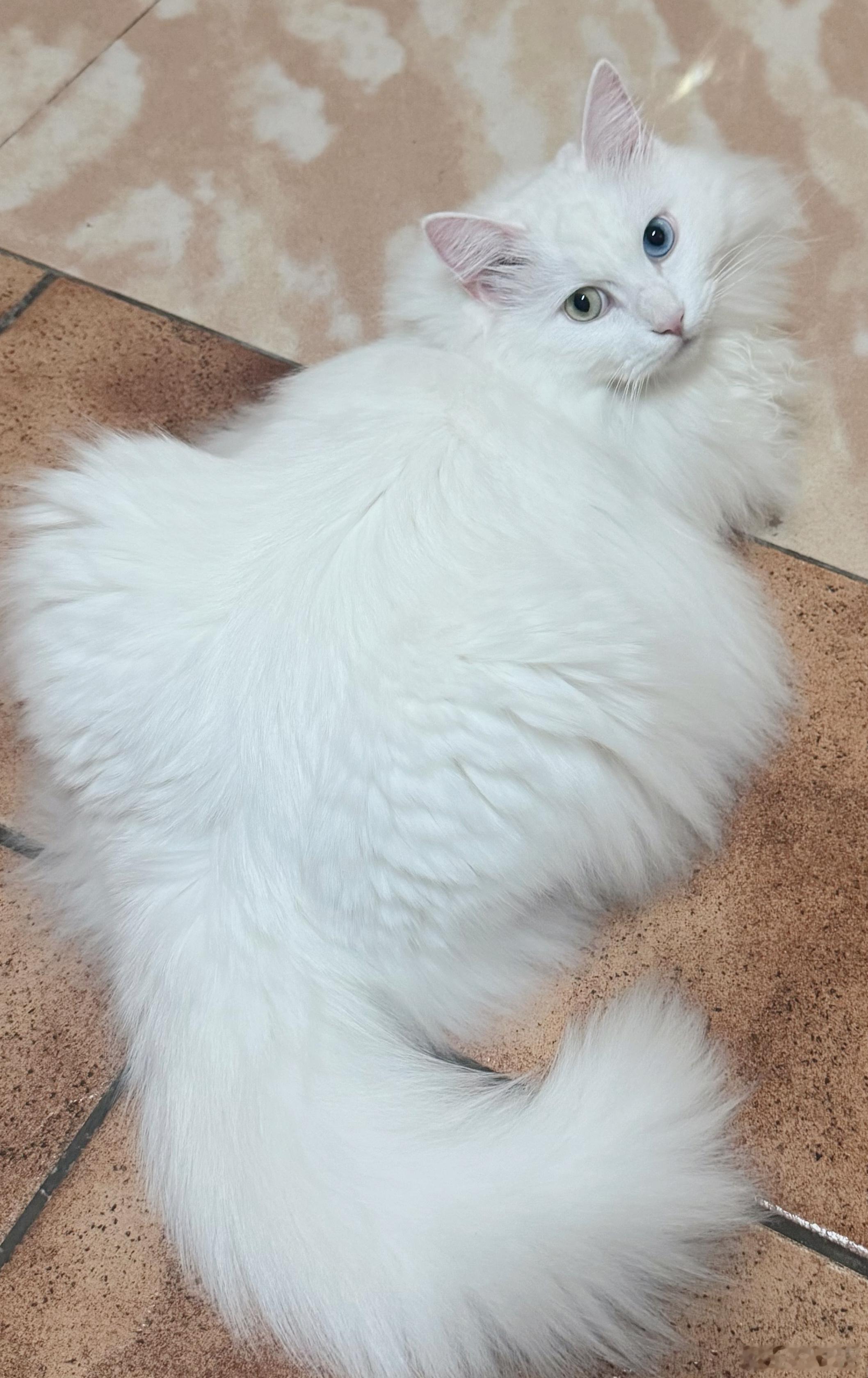 我以为随性洒脱 活在当下的我 不管怎么样做人生的选择都不会有后悔的事 但是今天突