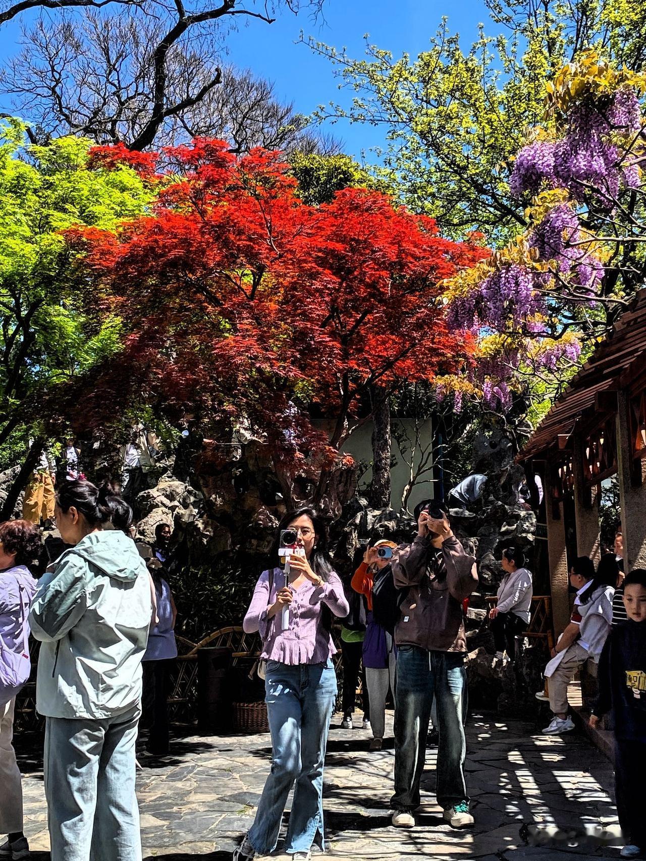 遇见狮子林
一年四季全