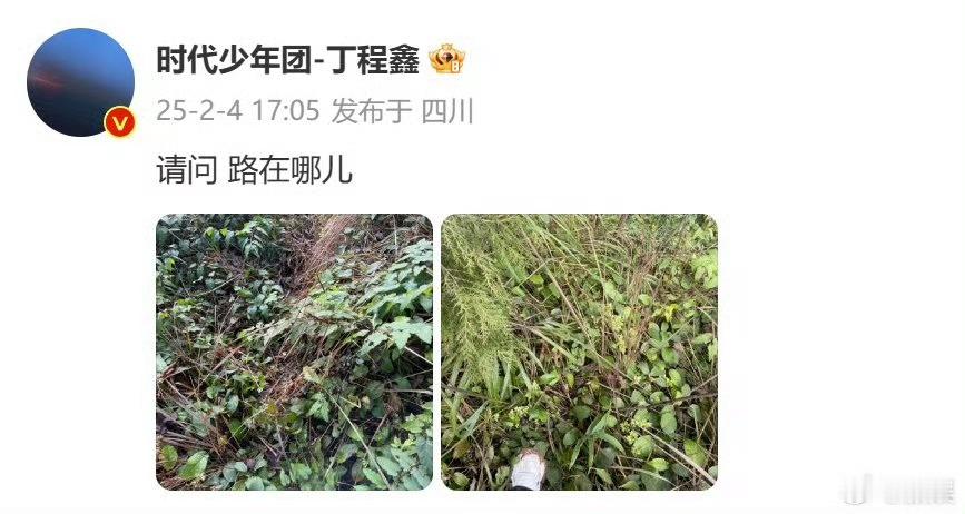 丁程鑫请问路在哪儿  丁程鑫问路  是出门散步迷路了吗[doge][doge]所