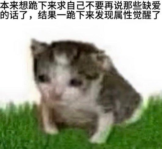 求同好跟我畅聊棋魂我太饿了我想吃佐为的脚 