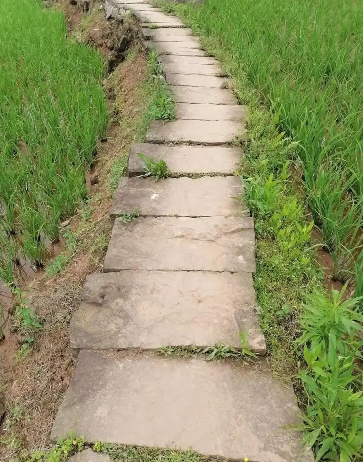 10万元一条通往庄稼地的石板路。0万修出乡村石板路：原来孝顺可以这么酷！家人们！
