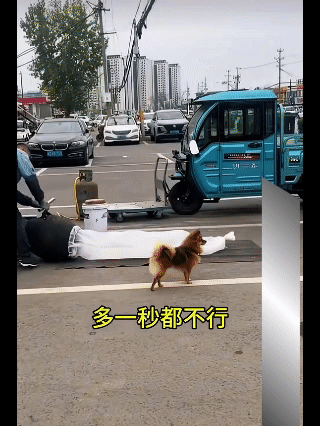 大爷在爆爆米花，狗子过来凑热闹，
这一喷差点把我笑死…[捂脸]