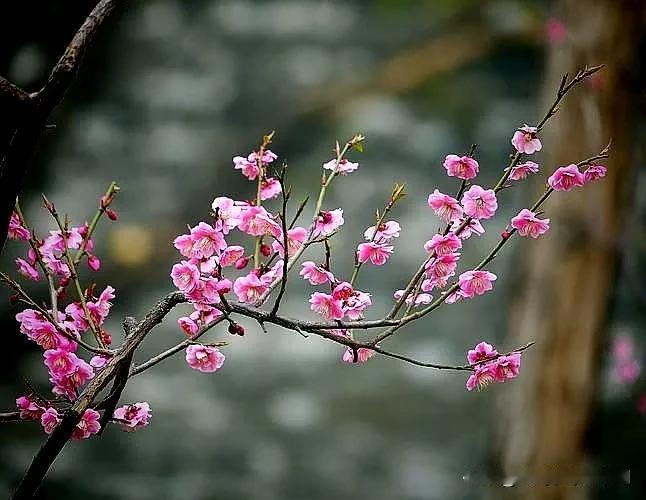 #上联：冬去山明水秀，下联：请你来#
冬去山明水秀，
春来树绿花开。