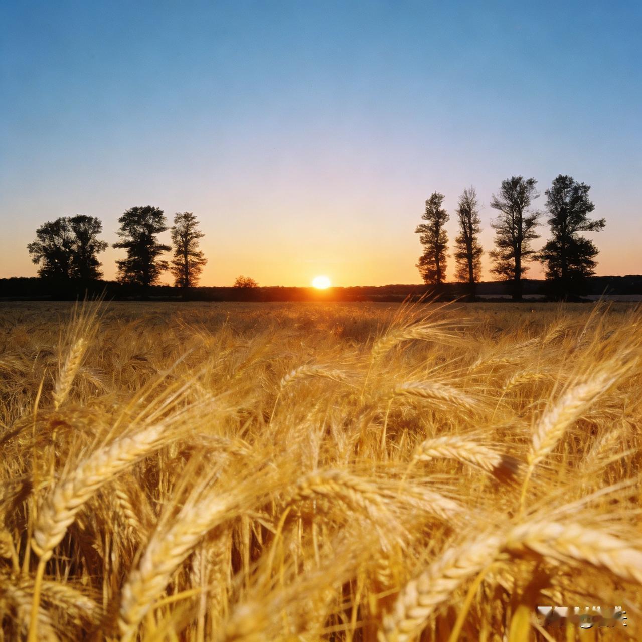 罕见钨价暴涨超200%，供需与新政共推涨势
 
2025年，钨价迎来罕见暴涨，黑