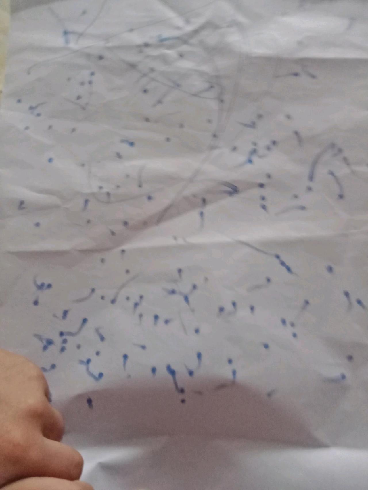 快三岁的宝宝画的抽象画，看看咋样吧[捂脸][捂脸][捂脸]