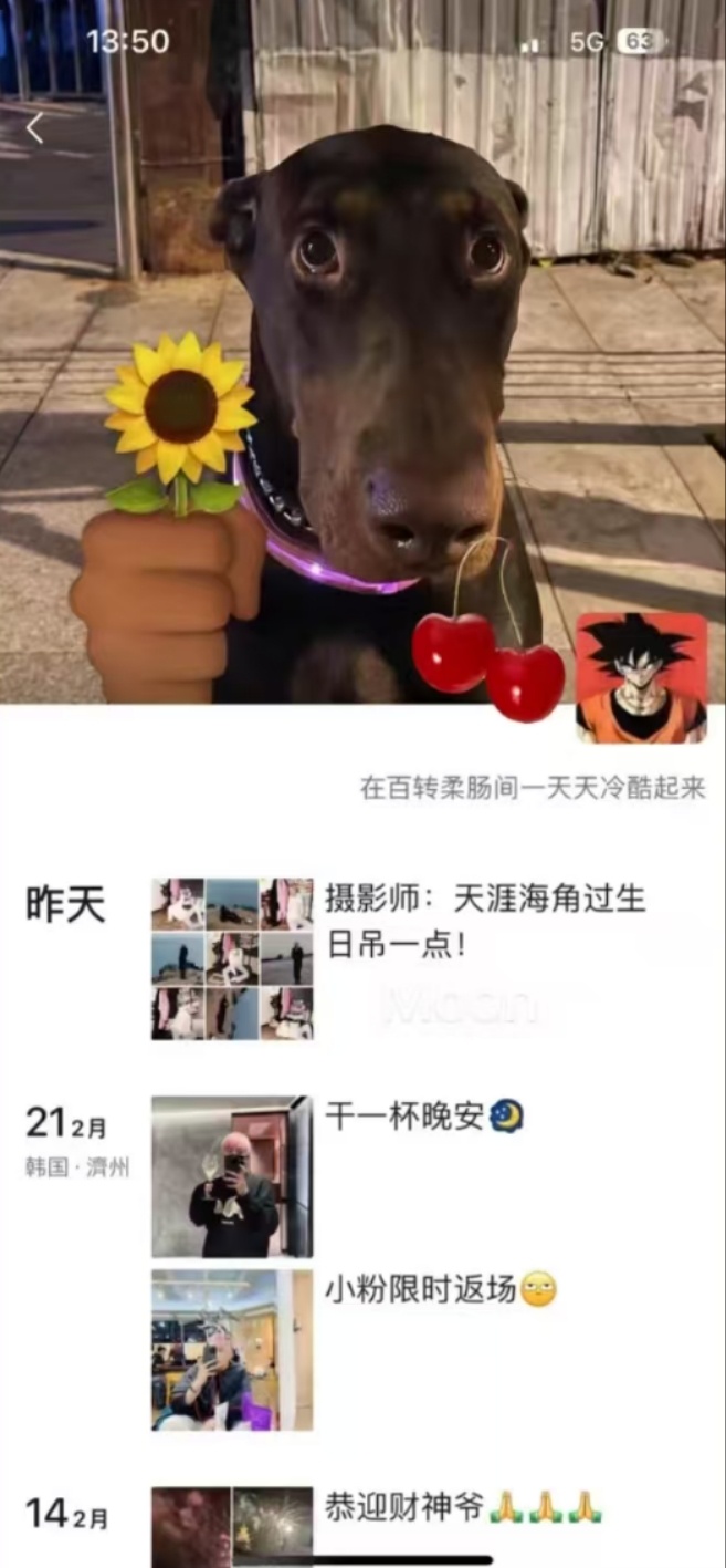在百转柔肠中一天天冷酷起来、 ​​​