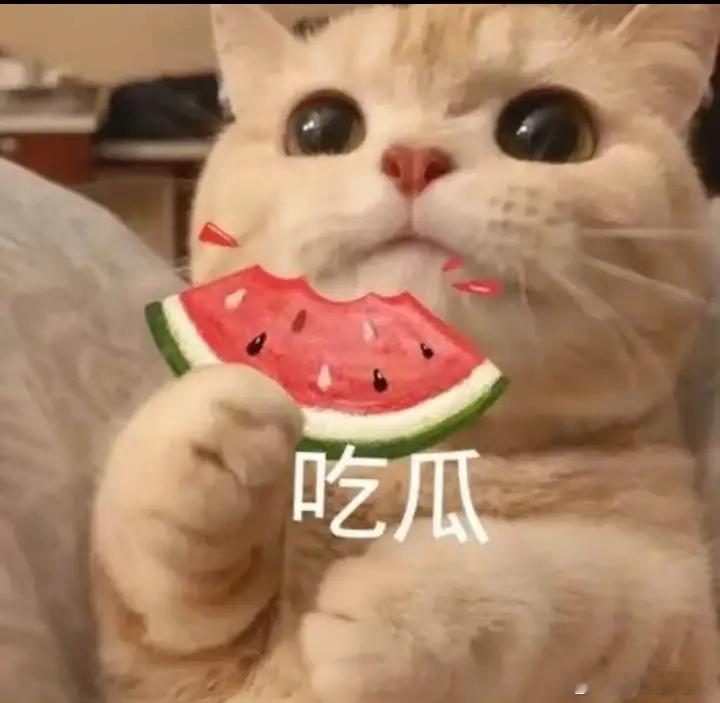 1、校草每次参加一些高端晚宴，身边的位置其实都算拍卖了，很多人愿意花大价钱坐在他