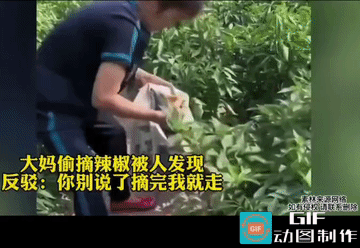 她的底气很足，比地的主人还横，说着她还不停手，你说这可咋整？她把偷变成理所当然。