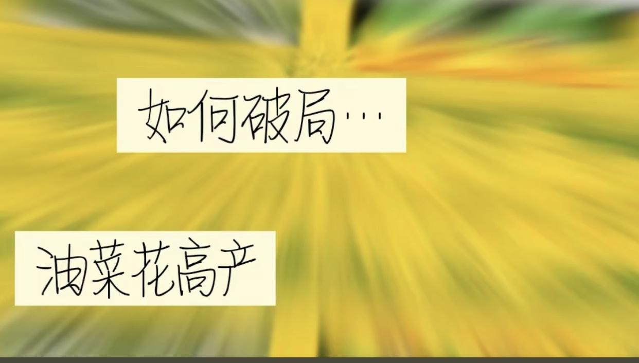 现在是油菜花开得最旺的时候，
本该是最开心的丰收季，
可江西、湖北、安徽不少人却