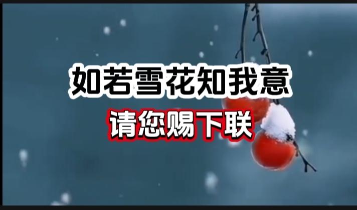 对对联 上联：如若雪花知我意 请您赐下联
上联：如若雪花知我意
下联：
请您赐下