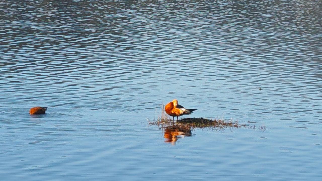 好好生活，别让自己想太多
 
日子一天天向前走，我们也在慢慢变老。人生最实在的道