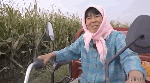 枝头挂彩，风送春来。龙年的脚步本无声，可当家人一起坐于榻前，喜迎央视春晚时，年便