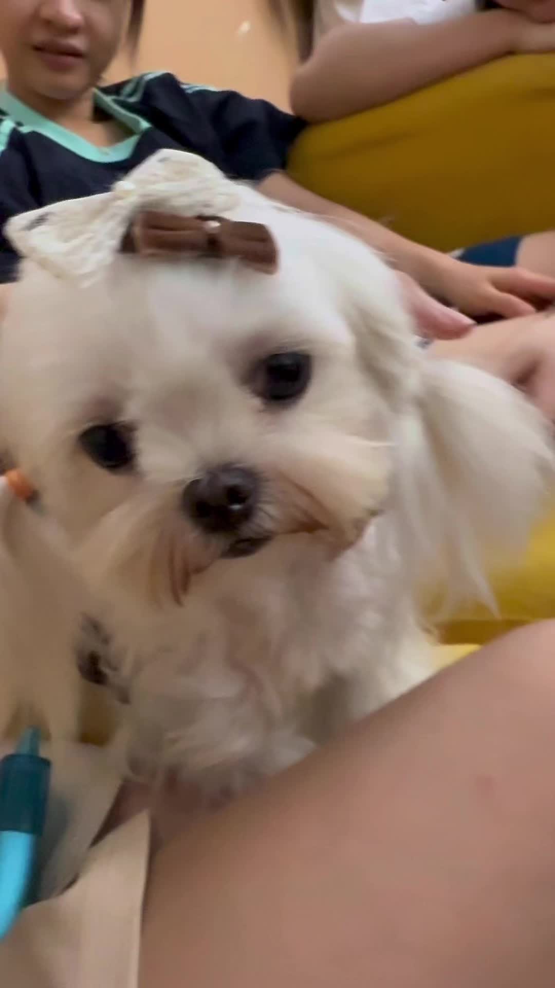 工作碎片🧩