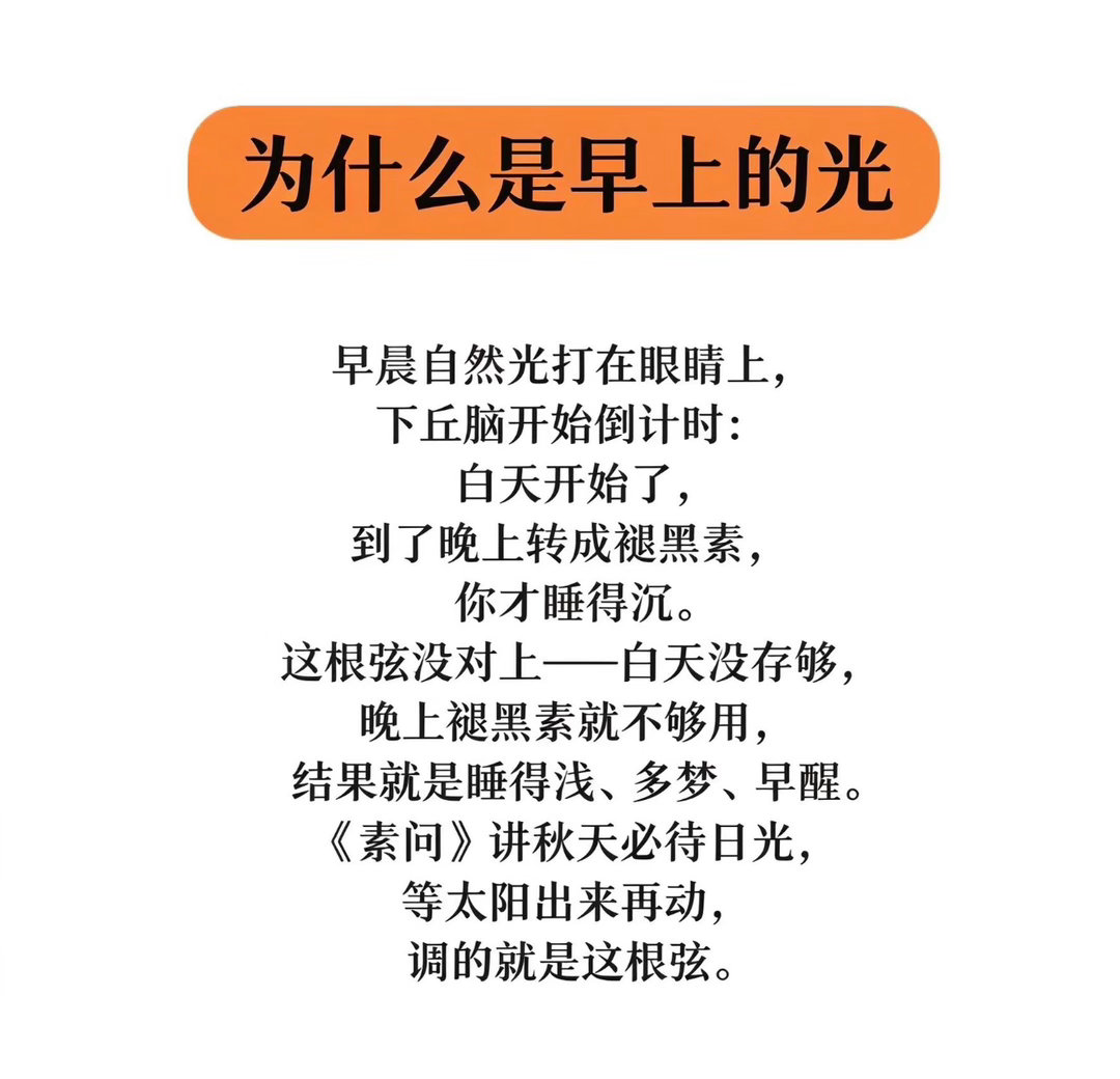 原来晒太阳和深度睡眠有关原来多晒太阳才能睡得好[并不简单] ​​​