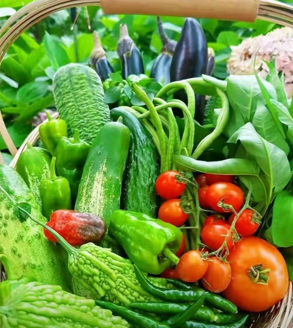 活不成了活不成了，毒白菜，毒红薯，毒黄瓜，蔬菜里还有那个没有毒。我天天得吃菜啊！