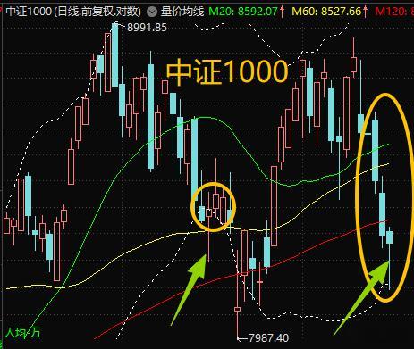 最近3天$中证1000 sh000852$ 伤害性很大。今天$上证指数 sh00