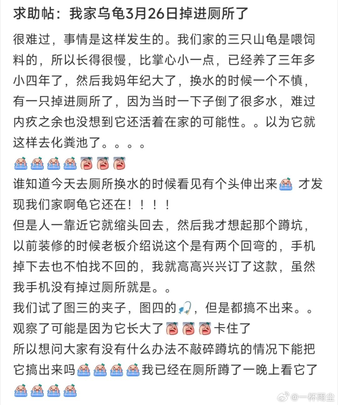 求助帖：我家乌龟3月26日掉进厕所了 ​​​