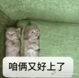 晚上好～分享一个你喜欢的夜宵吧～大电竞分享