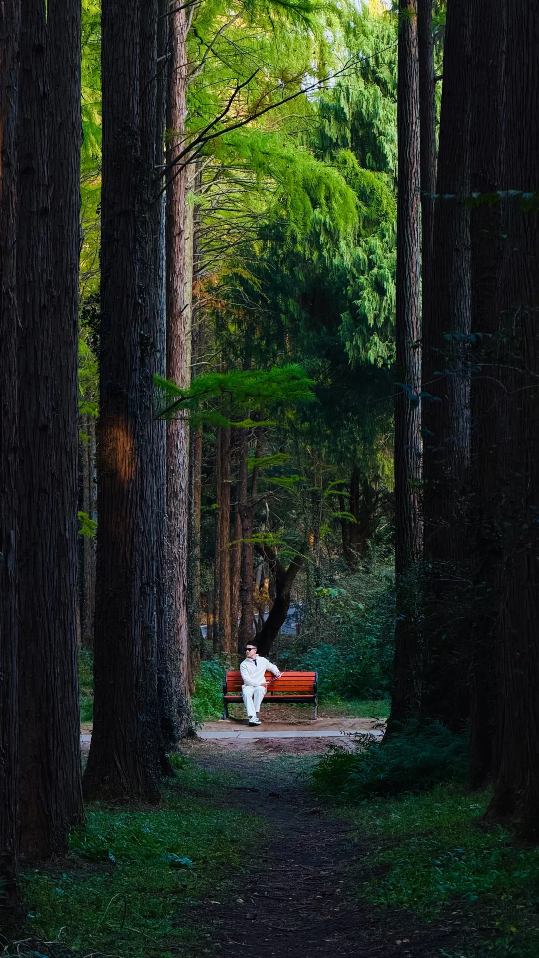 11.11号的南京实况！这么美怎么能不爱？