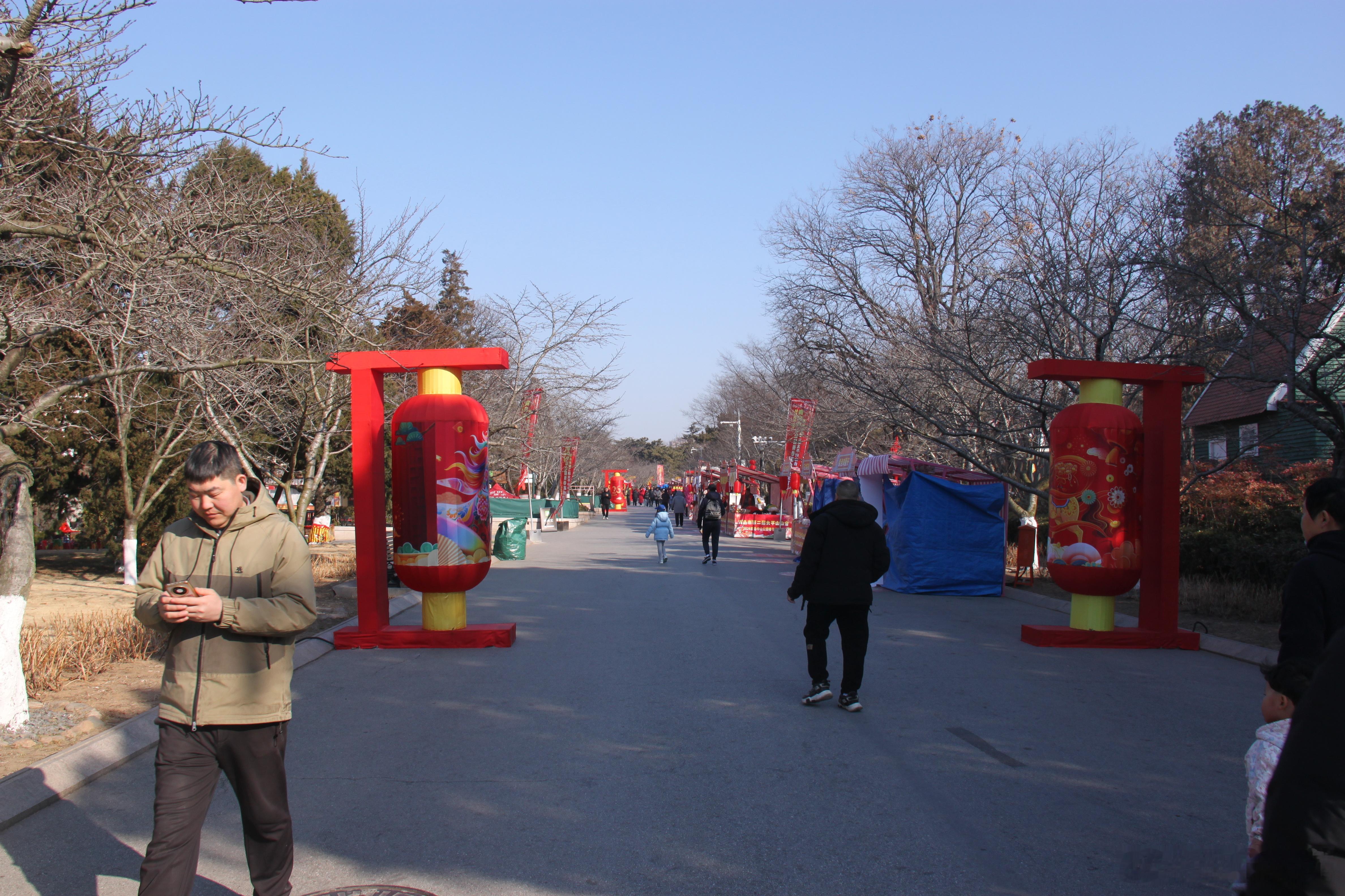 春节游园（续一）辛弃疾《青玉案·元夕》东风夜放花千树，更吹落、星如雨。宝马雕车香