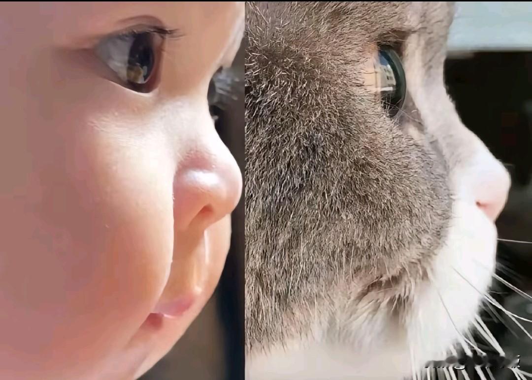 学过高中生物的都知道，人类细胞的分裂速度是会逐步衰退的，婴儿的皮肤之所以触感超级