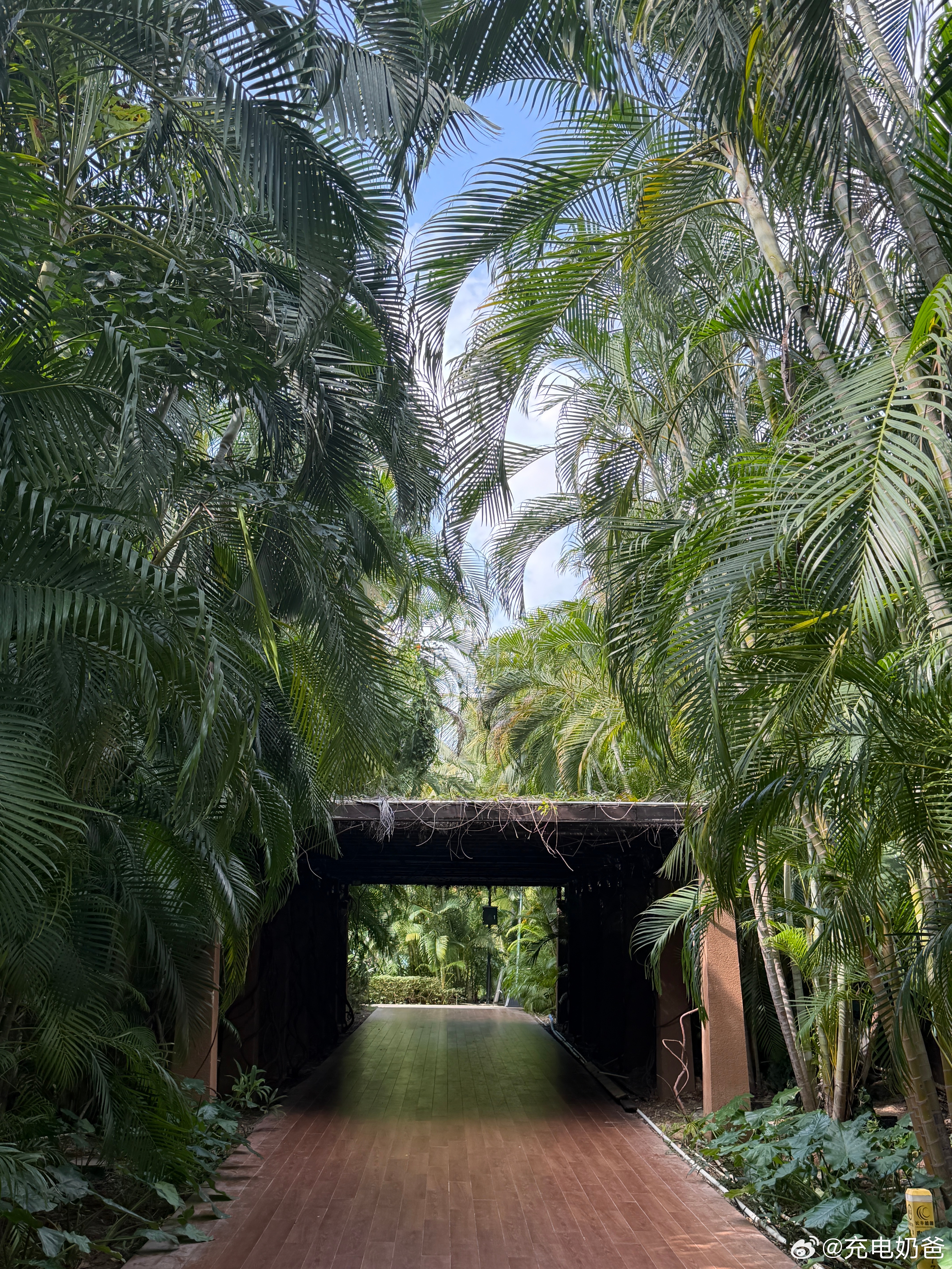 居然这么高……对不起国家，我拖后腿了去年全国人均可支配收入43377元