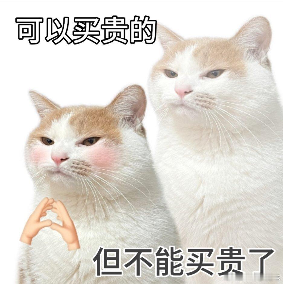 和妹妹逛了一下午的街，就看上了一件大衣，可是有点小贵了舍不得花💰买，真的是超级