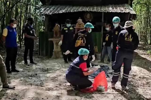 邪乎，泰国一寺庙被曝藏有40多具尸体，还发现600多条大鳄鱼。寺庙回应：帮助弟子