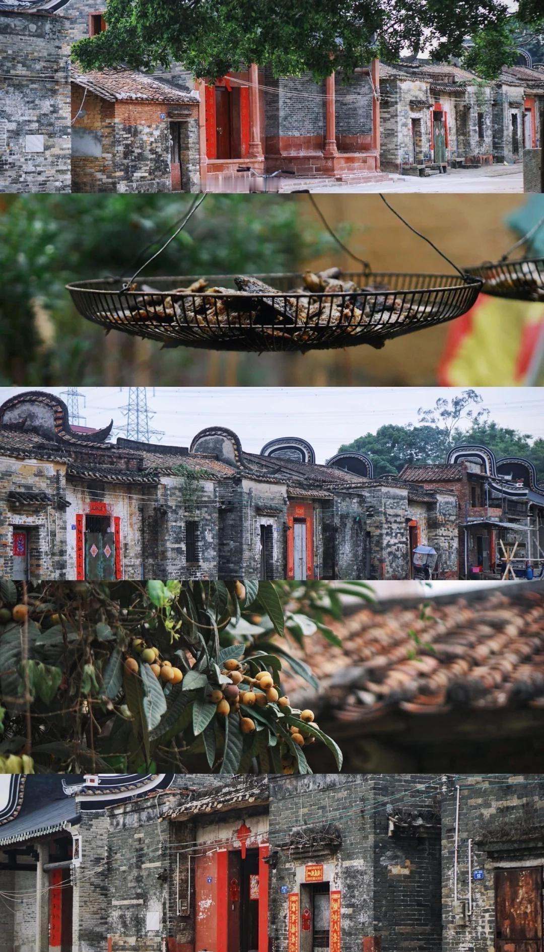广州增城巴藏古村｜坑贝村，免费逛明清镬耳古建

广州周边想找一处人少不商业化的古