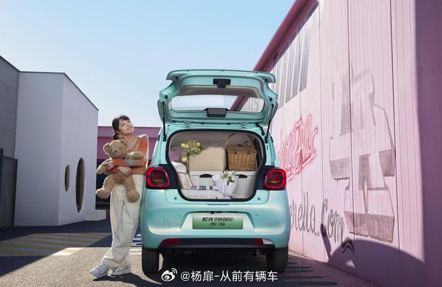 五菱宏光新能源系列凭借亲民价格（补贴后最低3.68万起）和精准市场定位持续领跑：