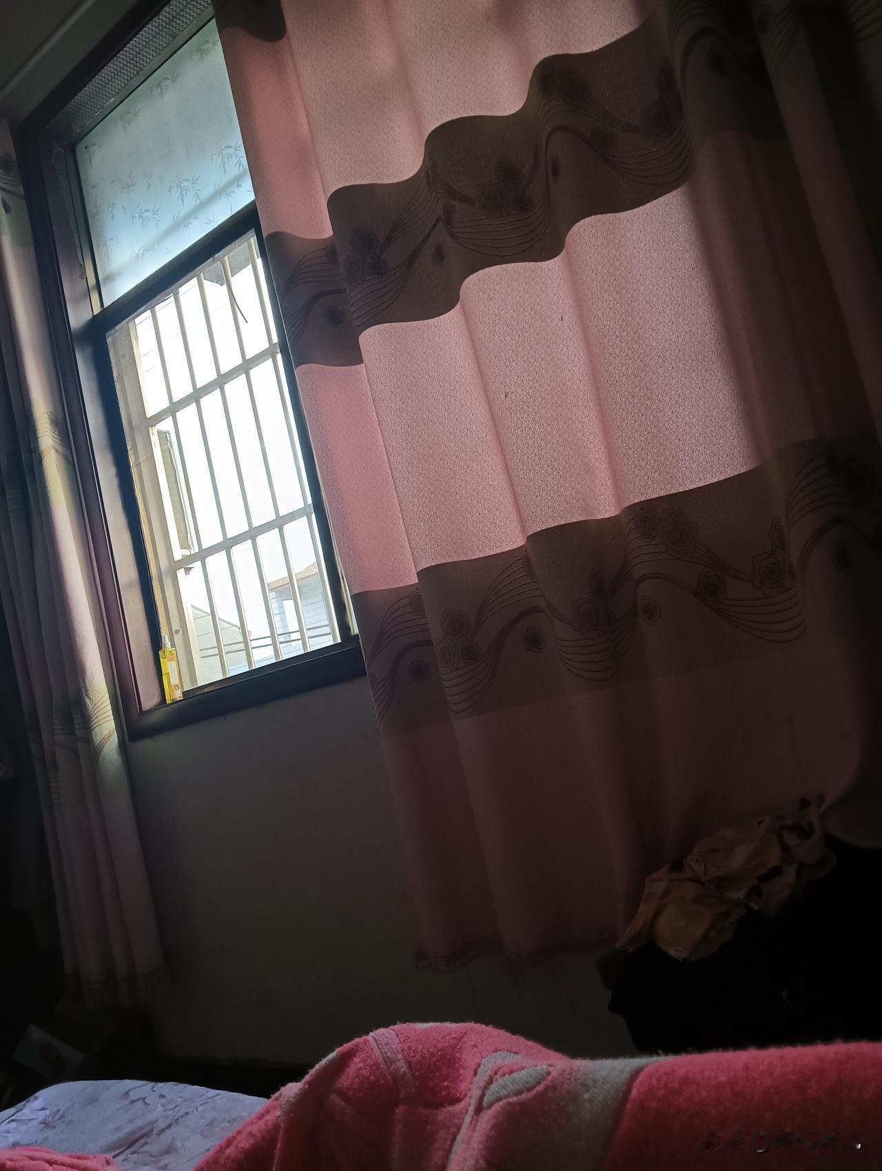 窗边静坐，暖阳洒进，感受生活的宁静与美好。
