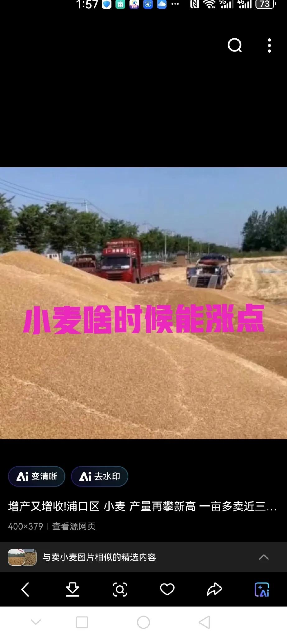 一小车小麦放了三个月了，不涨返落都愁死我了