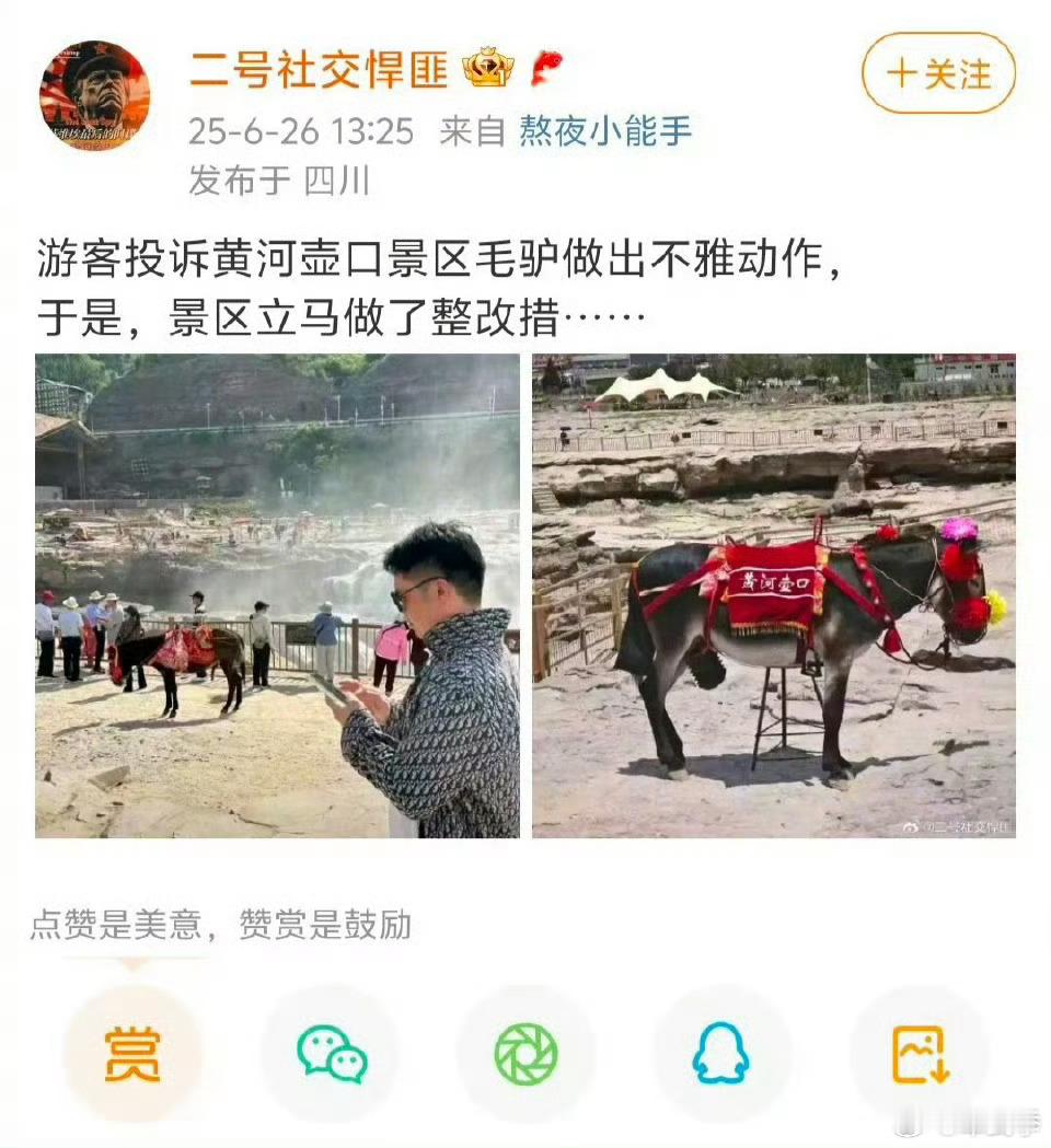 公驴出现不雅动作引发某游客投诉，景区立马整顿给公驴穿上贞洁内裤。你怎么看？ ​​