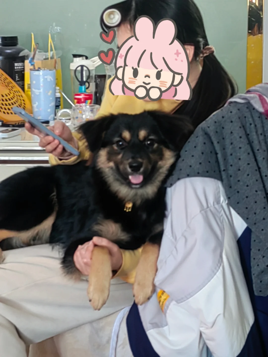 我的小狗自己回家了！