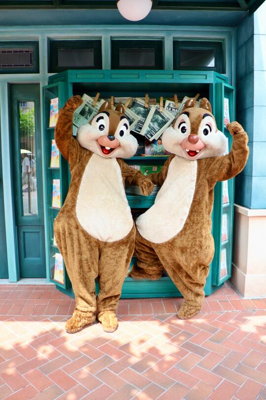 ❤️奇奇蒂蒂小可爱❤️