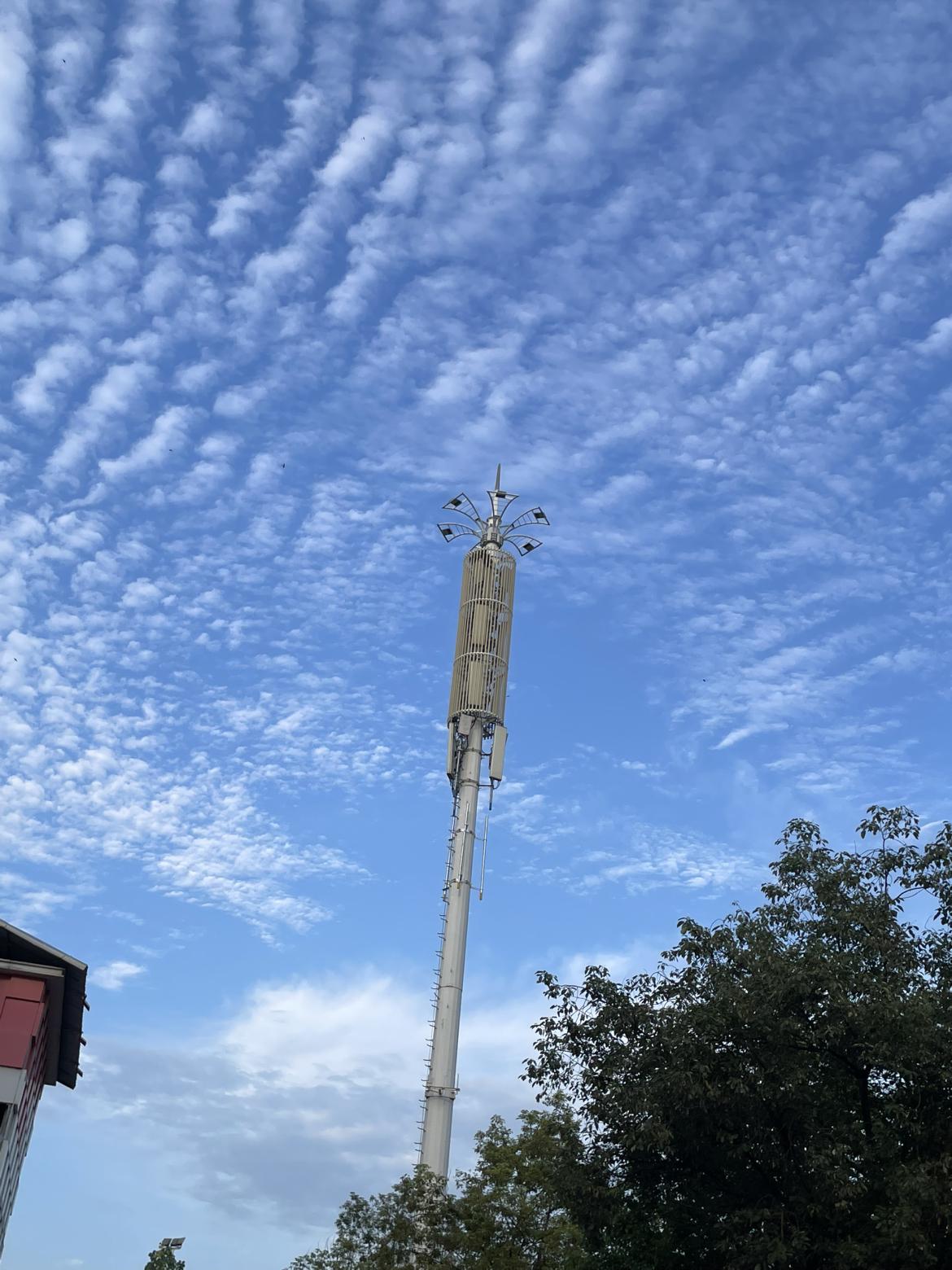 我的今日状态：😁轻松愉快
我这里的天气：☀️晴天
这两天下午是真热起来了，不过